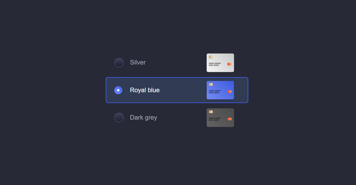Radio Redit Card with CSS