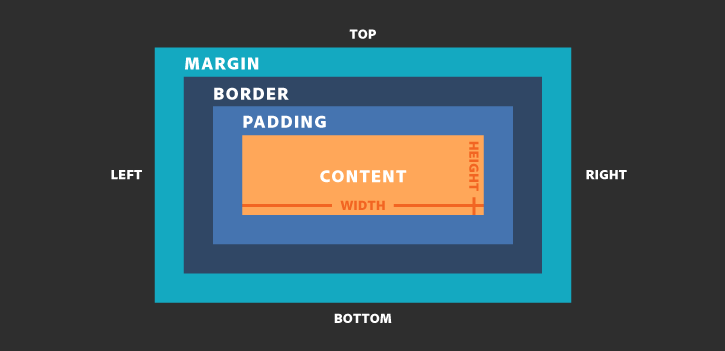 CSS Box Model - Cơ bản dành cho người mới bắt đầu